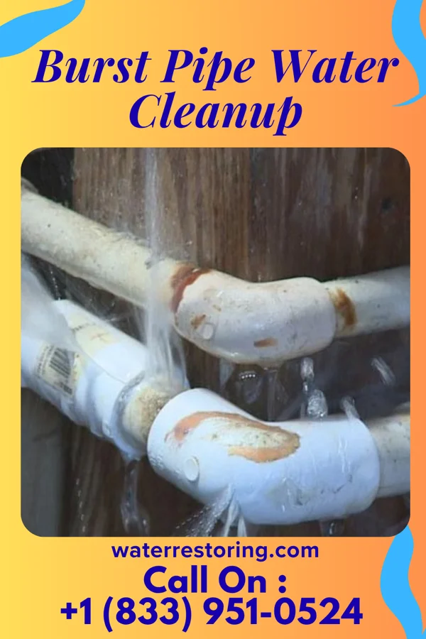Burst Pipe Water Cleanup in Weldon Spring Heights, MO