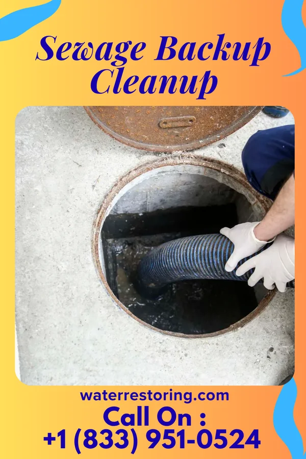 Sewage Backup Cleanup in Weldon Spring Heights, MO